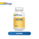 SOLARAY LECITHIN- H (OIL FREE) 120 CAPS (MAL19984096X)